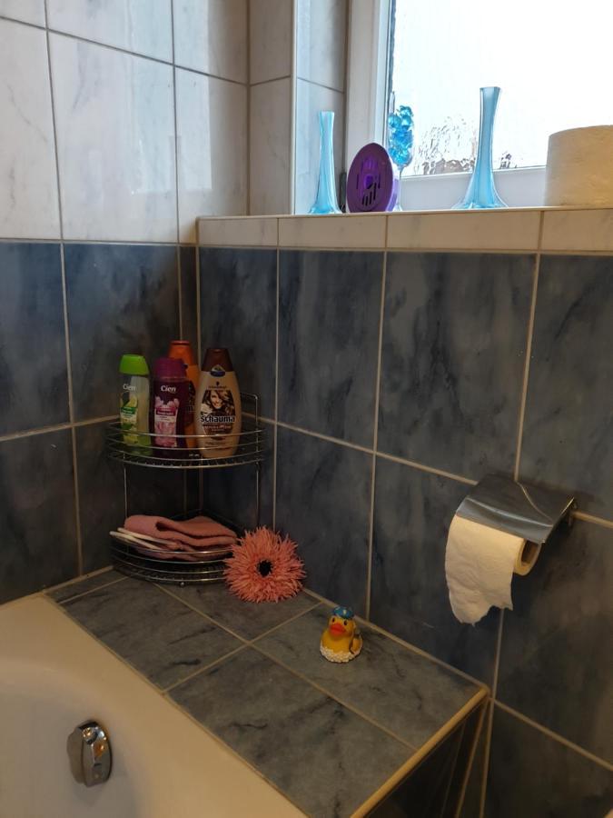 Schoene Grosse Ferienwohnung Im Mittelrheintal Nahe Loreley Bornich Екстер'єр фото